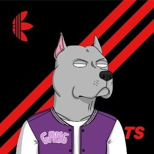 Meet your Posher, Jones